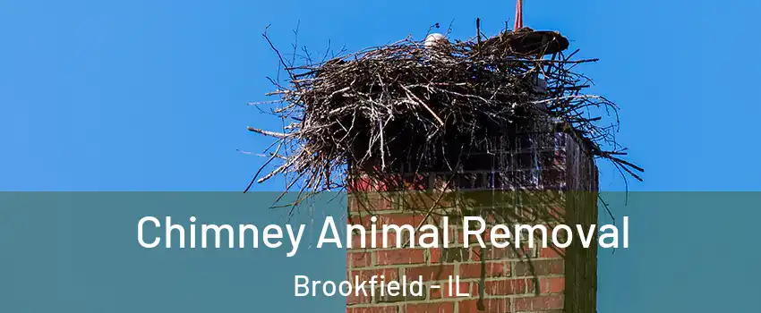  Chimney Animal Removal Brookfield - IL