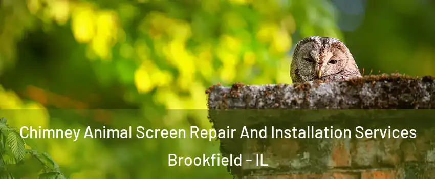  Chimney Animal Screen Repair And Installation Services Brookfield - IL