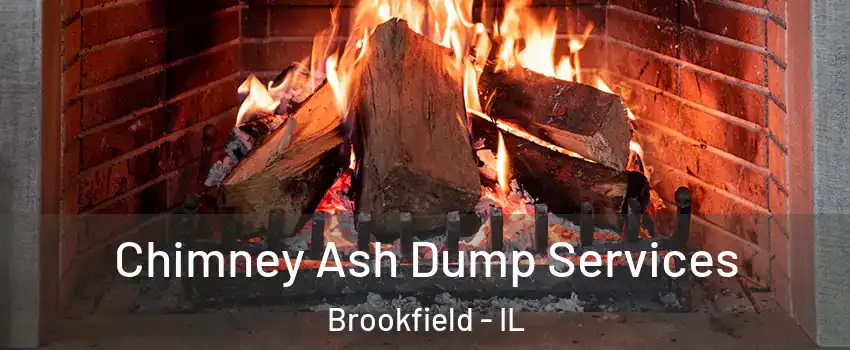  Chimney Ash Dump Services Brookfield - IL