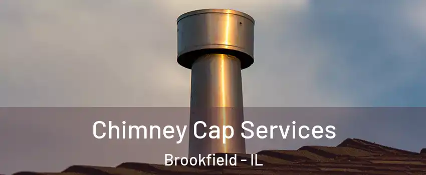  Chimney Cap Services Brookfield - IL