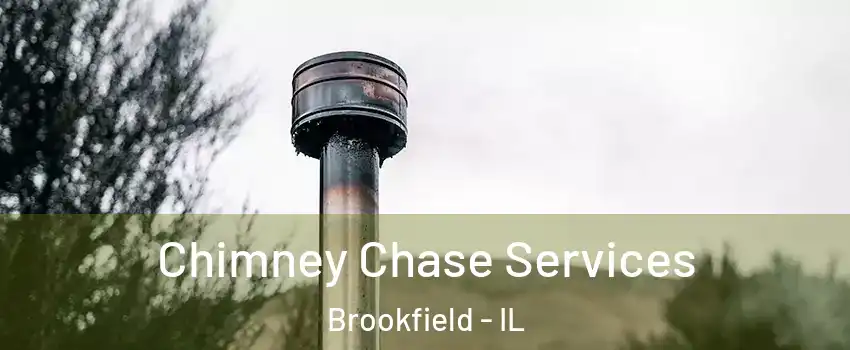  Chimney Chase Services Brookfield - IL