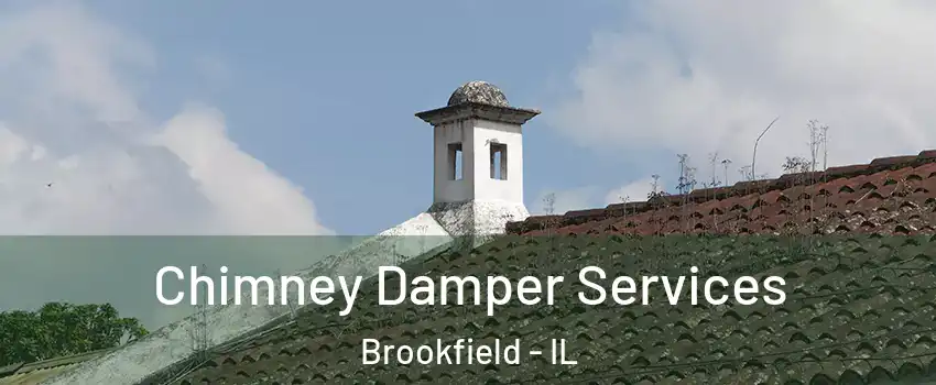  Chimney Damper Services Brookfield - IL