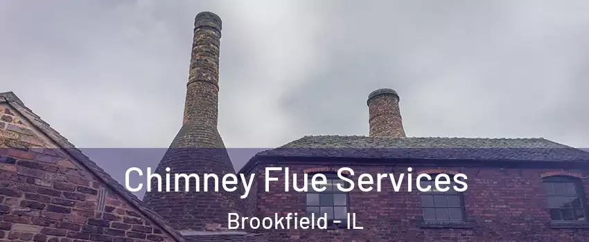  Chimney Flue Services Brookfield - IL