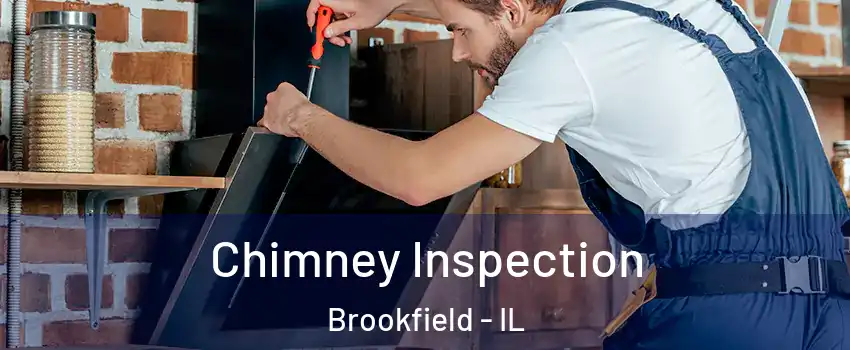  Chimney Inspection Brookfield - IL