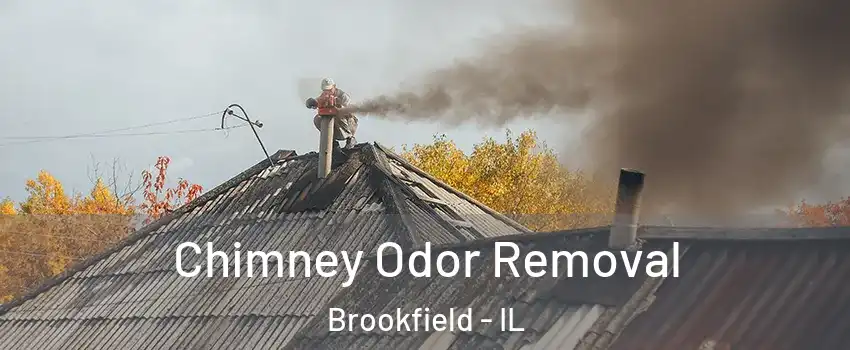  Chimney Odor Removal Brookfield - IL
