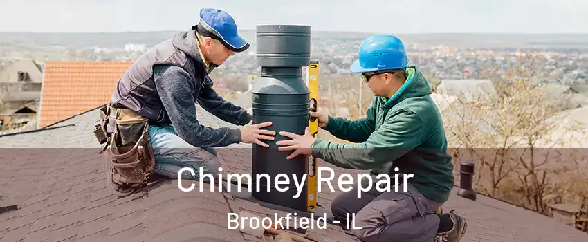  Chimney Repair Brookfield - IL