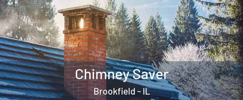  Chimney Saver Brookfield - IL