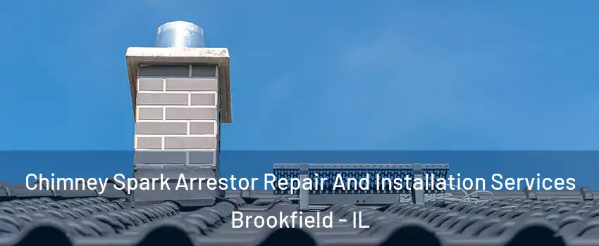  Chimney Spark Arrestor Repair And Installation Services Brookfield - IL