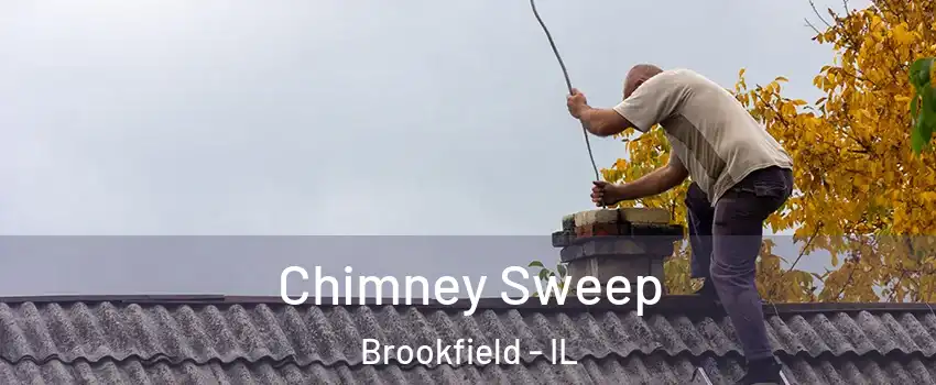  Chimney Sweep Brookfield - IL