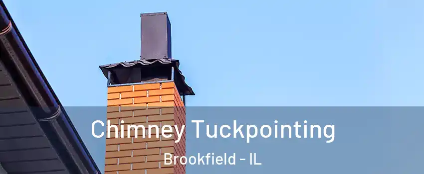  Chimney Tuckpointing Brookfield - IL