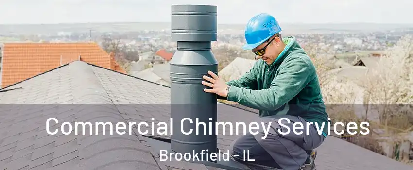  Commercial Chimney Services Brookfield - IL