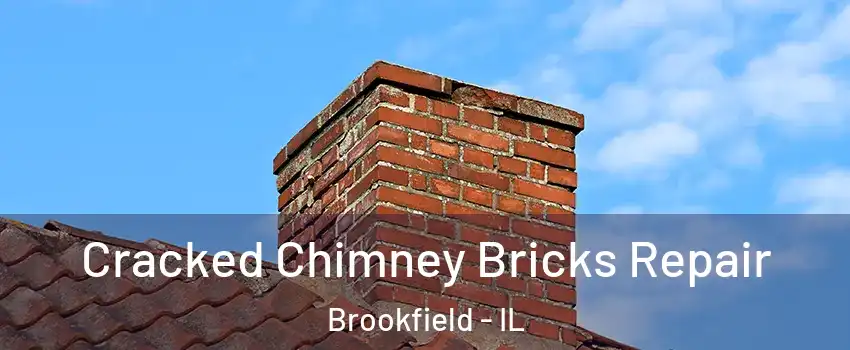  Cracked Chimney Bricks Repair Brookfield - IL