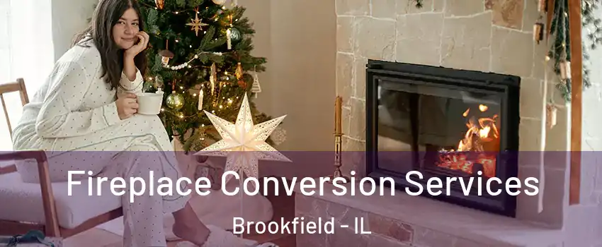  Fireplace Conversion Services Brookfield - IL