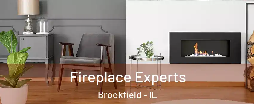 Fireplace Experts Brookfield - IL