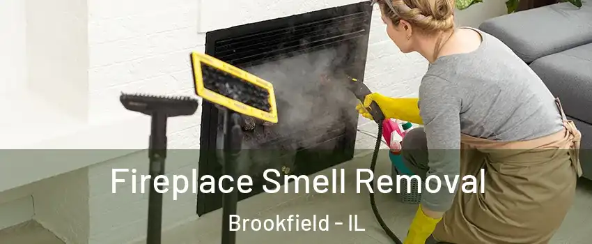  Fireplace Smell Removal Brookfield - IL