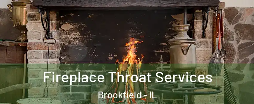  Fireplace Throat Services Brookfield - IL