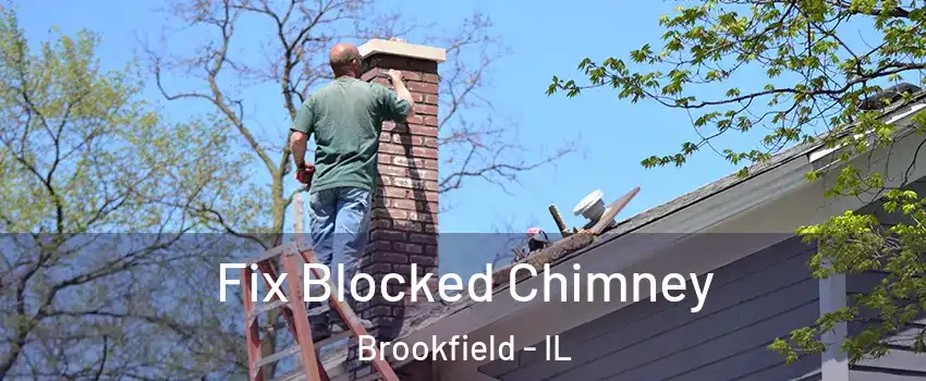  Fix Blocked Chimney Brookfield - IL