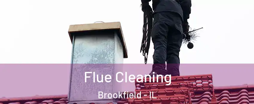  Flue Cleaning Brookfield - IL
