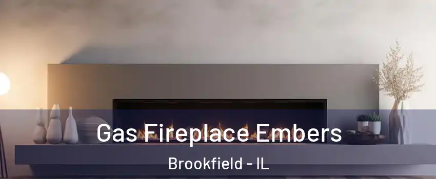  Gas Fireplace Embers Brookfield - IL
