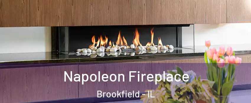  Napoleon Fireplace Brookfield - IL