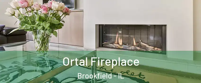  Ortal Fireplace Brookfield - IL